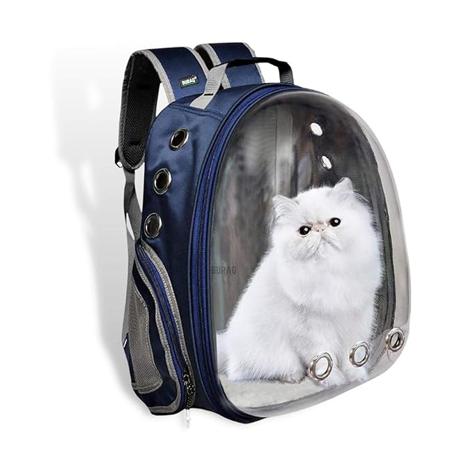 Buraq Astronaut Transparent Pet Carrier Backpack